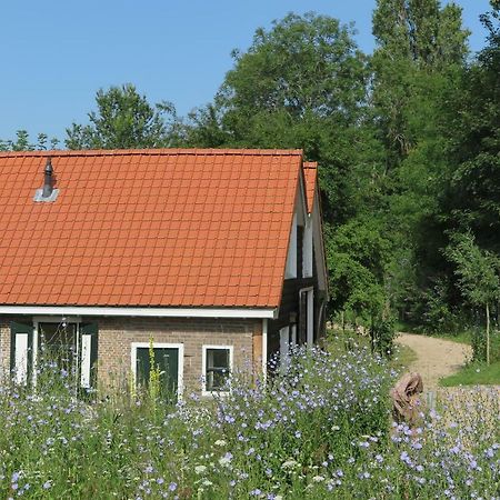 Het Kunstenaarshuis Kamperland Eksteriør billede