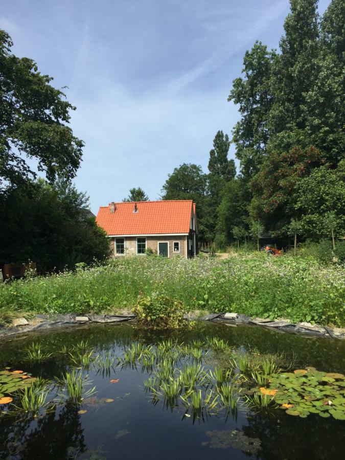 Het Kunstenaarshuis Kamperland Eksteriør billede